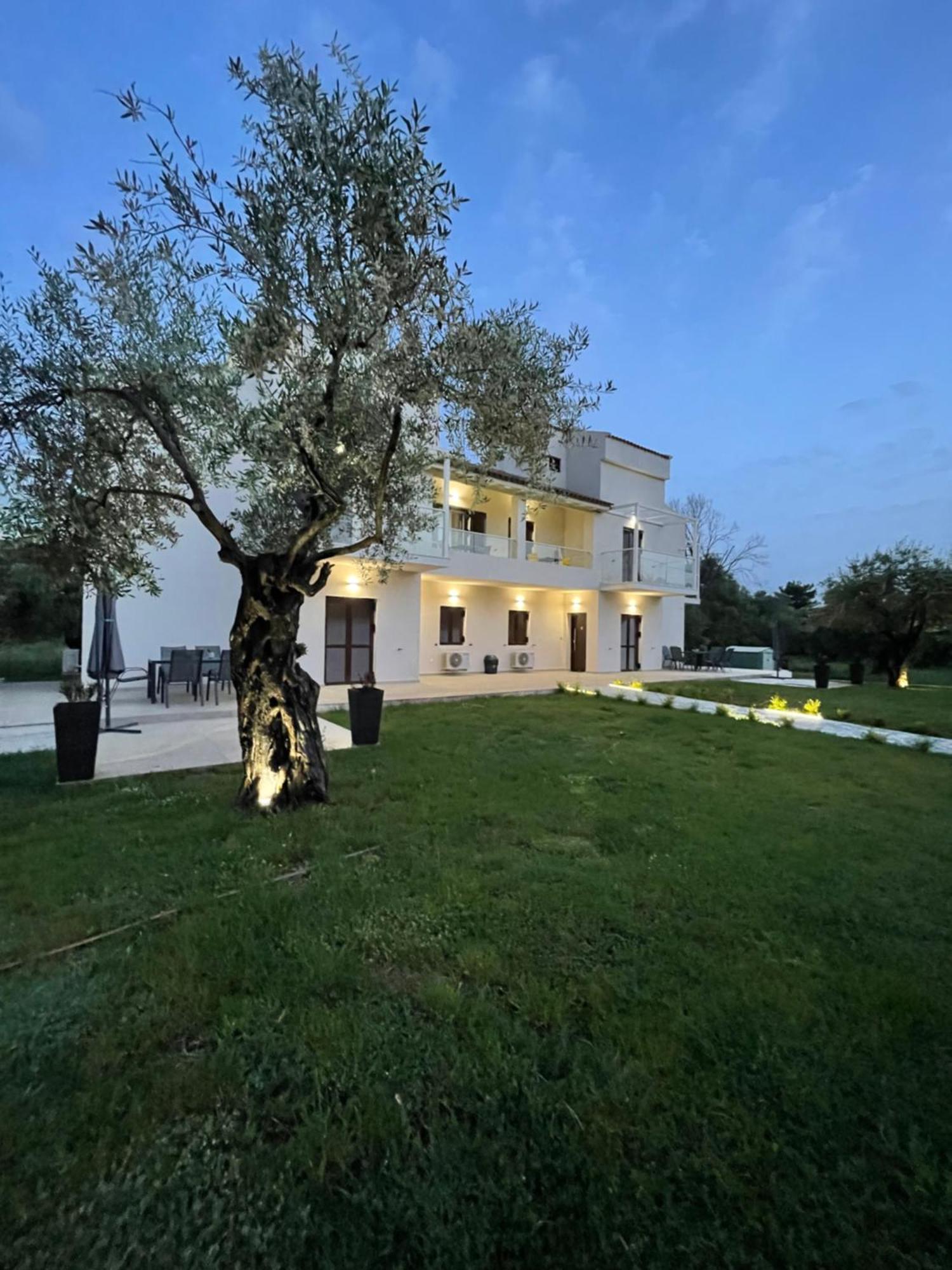 Rodelia 1 Appartement